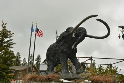 DSC_6744 (Large).JPG